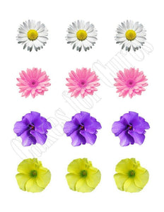 Spring Flowers Edible Cupcake Images Cupcake Toppers - Cakes For Cures