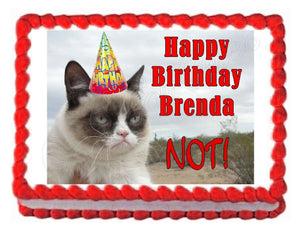 Grumpy Cat at the Beach Edible Cake Image Cake Topper - Cakes For Cures