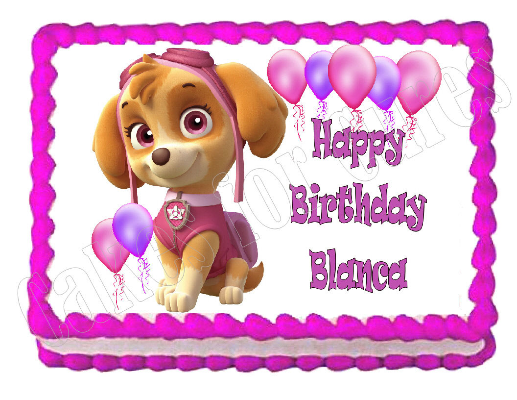 Paw Patrol Skye Edible Cake Image Cake Topper - Cakes For Cures