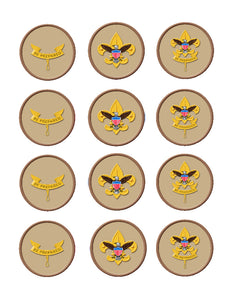 Boy Scout Edible Cupcake Toppers - Cakes For Cures